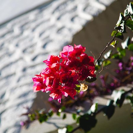 Hotel Karia Princess Bodrum Bagian luar foto