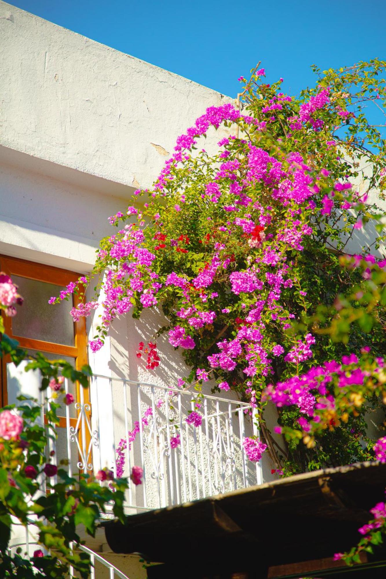 Hotel Karia Princess Bodrum Bagian luar foto